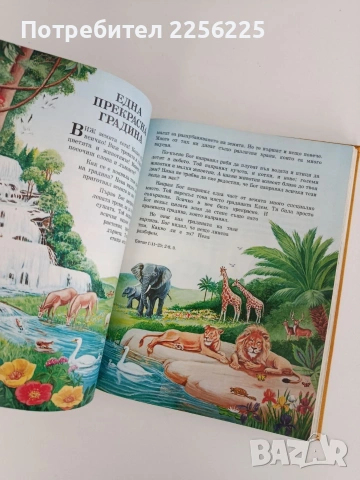 Моята книга с библейски разкази, снимка 2 - Специализирана литература - 54769155