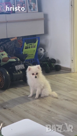 На 5 месеца мъжко 
