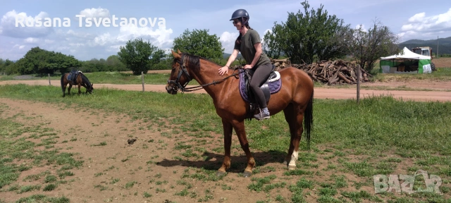 Уроци по конна езда