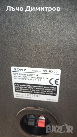 SONY RX99 , снимка 11 - Тонколони - 54028163