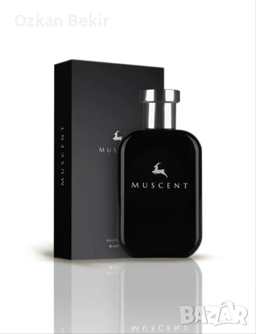MUSCENT PARFUME