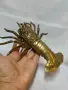 Масивен голям бронзов омар за стена , снимка 5