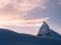 Гребло за листа многофункционално с дълга дръжка 2W4M, снимка 3