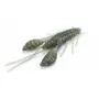 Lurefans Mini Force Craw 6.35 cm 5.3 g – силиконова примамка тип рак, снимка 2