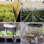 FRGROW 65W димируема LED лампа за растения, снимка 8