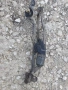Механизъм чистачки Mazda 5, снимка 1