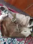 Продавам мъжка кожена чанта 1, снимка 6