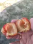 Продавам  сливи , снимка 4
