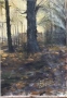 Картина. Горски пейзаж. Масло върху канава., снимка 4