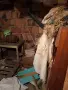 Хамалски услуги , снимка 6