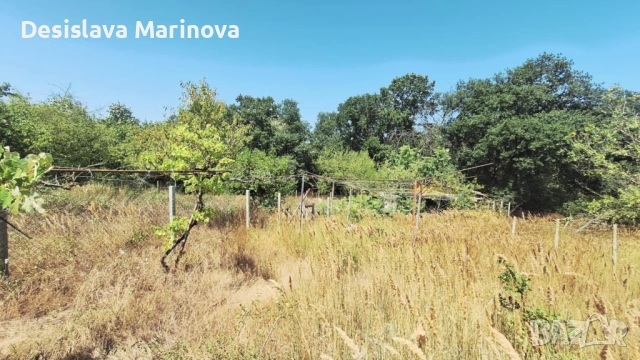 продавам парцел с ток и малка постройка Бровец - юг, снимка 7 - Парцели - 54818709