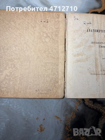 Антикварна руска книга „Корова“ – анатомия на едър рогат добитък (1897 г.), снимка 4 - Антикварни и старинни предмети - 54161446