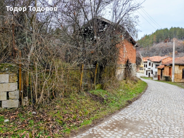 Парцел в с. Дивля, област Перник, снимка 13 - Парцели - 54305864