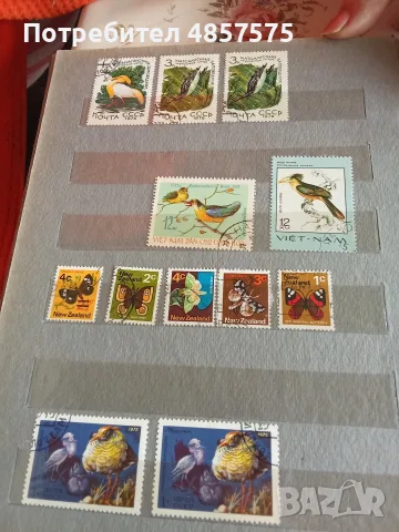 марки и класьор, снимка 4 - Филателия - 55411298
