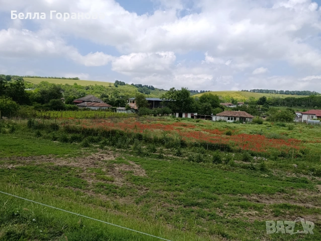 Парцел в с.Кайнарджа, снимка 5 - Парцели - 52271773