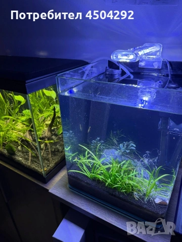 Продавам два аквариума Ciano 60 черен и Dennerle Nano Cube 20L LED с пълно оборудване и консумативи, снимка 4 - Аквариуми - 55085214