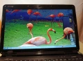 Лаптоп ASUS 15.6 // HD/LED , снимка 1