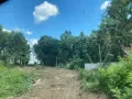 Почистване на терени с горски мулчер и трактор, снимка 9