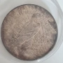 USA 1 Dollar 1923 Peace Dollar • Сребро .900 • патина, снимка 1