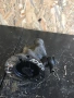 Вакуумна помпа за Mercedes Atego 1523 (1998-2006) 0030817401, снимка 1