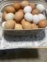 Продавам млади кокошки, снимка 4