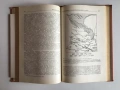 Региональная геотектоника. Внеальпийская Европа и Западная Азия – В. Е. Хаин (1977), руски език, снимка 9
