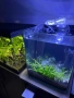 Продавам два аквариума Ciano 60 черен и Dennerle Nano Cube 20L LED с пълно оборудване и консумативи, снимка 4