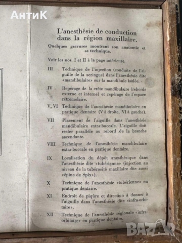 Медицинско Табло Брошура BAYER , снимка 9 - Антикварни и старинни предмети - 54249688