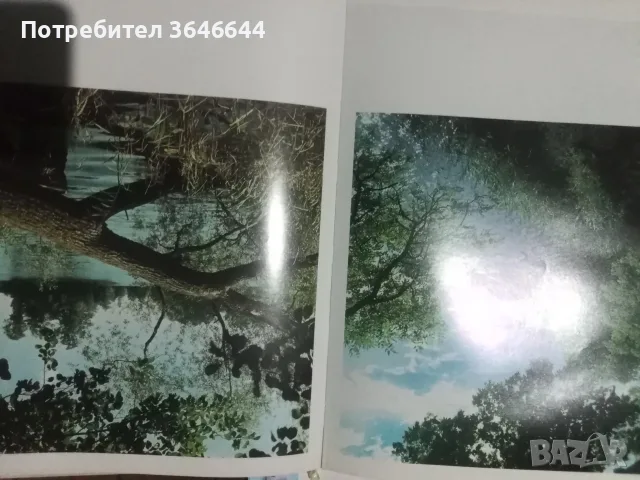 Цял лот от детски книжки, снимка 8 - Детски книжки - 55682924
