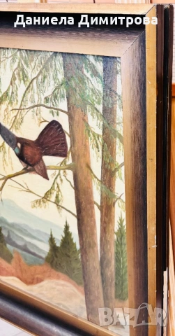 Рисувана картина на фазер, снимка 4 - Картини - 54205558