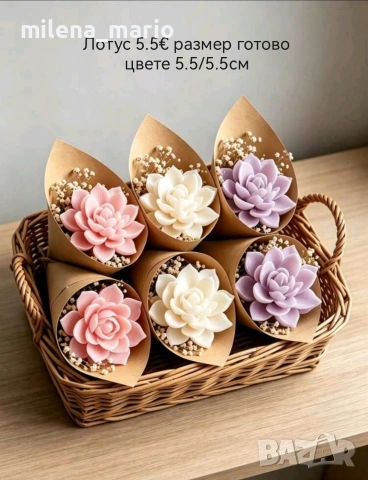силиконови молдове Нови