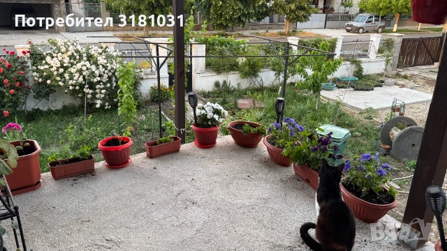 Къща в гр.Стралджа, снимка 14 - Къщи - 55042685