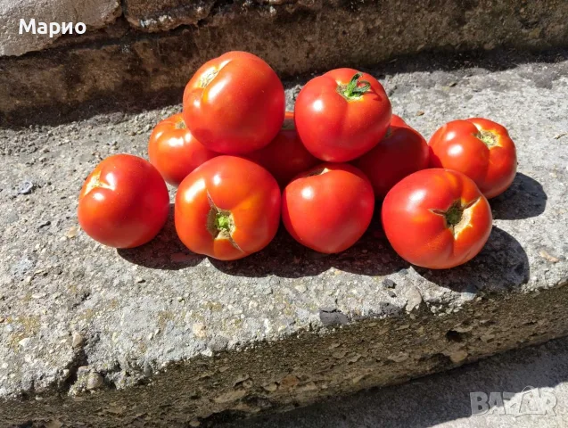 ПРОДАВАМ ДОМАШНИ ДОМАТИ ЦЕНА 1€