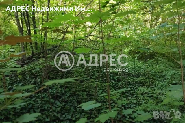 Парцел/Терен, продажба, Смолян, кв. Нов център, снимка 5 - Парцели - 55199427