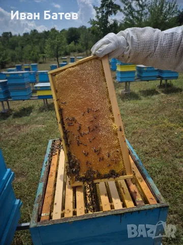 Натурален пчелен мед - Букет от Пчеларска ферма Медено поле, снимка 3 - Пчелни продукти - 55407413