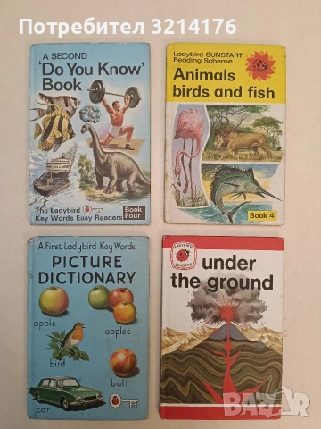 RARE Vintage! (The Ladybird) Key Words Reading Scheme - 31 books