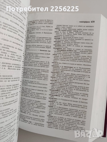 Български тълковен речник, снимка 4 - Специализирана литература - 55162881