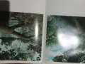 Цял лот от детски книжки, снимка 8