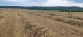 Продавам рулонни бали смес Ечемик, Овес и Пшеница със зърно, снимка 4