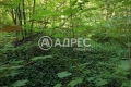 Парцел/Терен, продажба, Смолян, кв. Нов център, снимка 5
