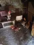 Полета и неми юрдеци, снимка 3