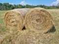 Продавам Бали сено, снимка 1