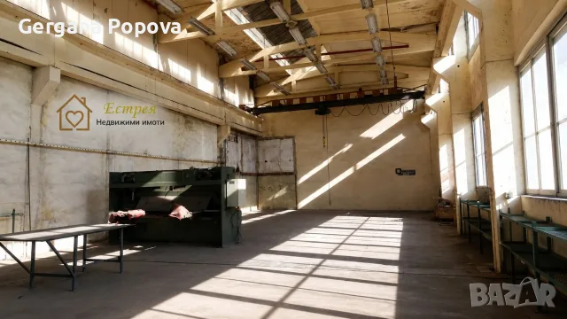 От собственик - Хале до Панаира с телферен кран, офиси и голям двор, снимка 4 - Производствени сгради - 55643978