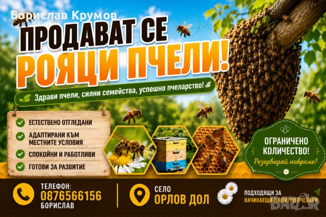 ПРОДАВАМ РОЯЦИ ПЧЕЛИ