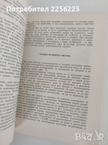 Системи за поддържане на почвата в овощните насаждения, снимка 4 - Специализирана литература - 54291150