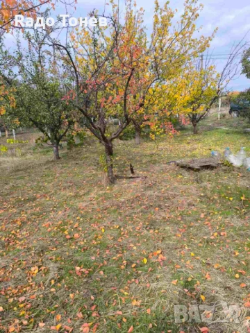 Дивдядово -Парцел с малка постройка - земеделска земя, снимка 2 - Парцели - 53995661