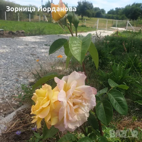 Място за каравана/кемпер в Езерец – 50 €/месец, целогодишно, снимка 3 - Парцели - 55609480