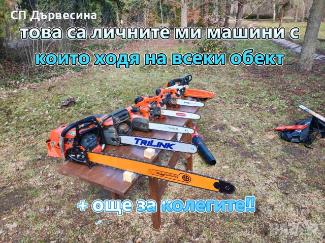 Премахване Рязане Отсичане Кастрене на Опасни Дървета Арбористи Автовишка / Кран, снимка 15 - Други - 54427028