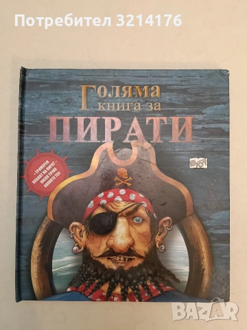 Голяма книга за пирати с палкат (2013, Фют), снимка 3 - Детски книжки - 54573046