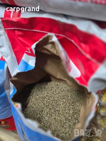 Коноп конопено семе за риболов, снимка 3 - Стръв и захранки - 52754630